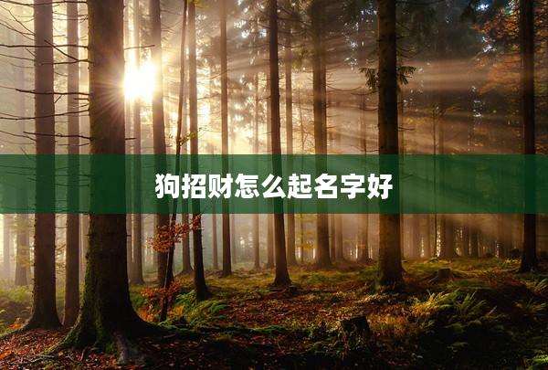 2狗招財怎么起名字好