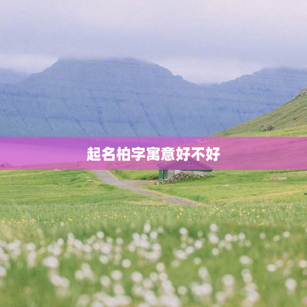 2起名柏字寓意好不好