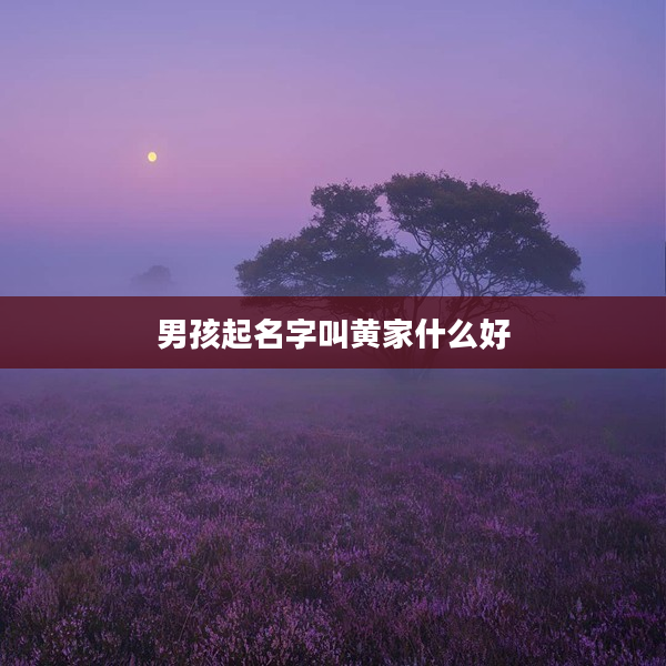 2男孩起名字叫黃家什么好