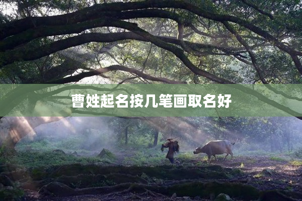 2曹姓起名按幾筆畫(huà)取名好