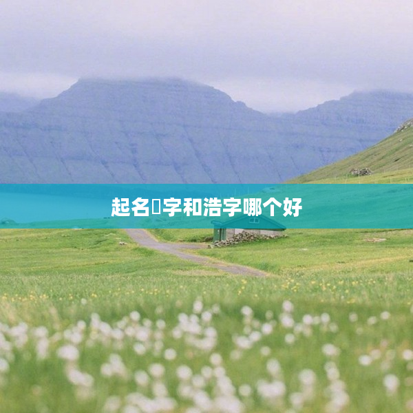 2起名澔字和浩字哪個好