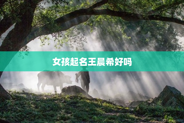 2女孩起名王晨希好嗎