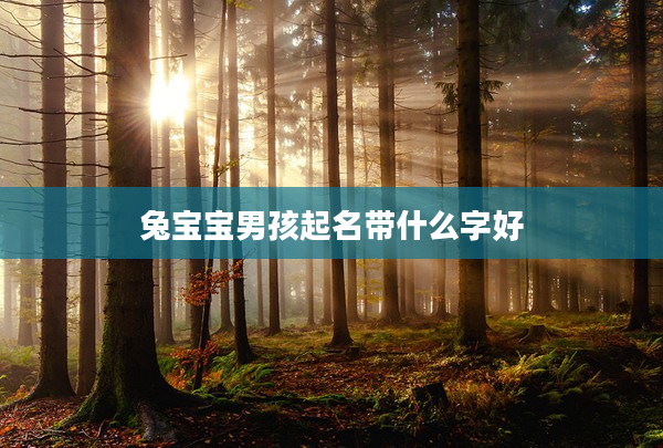 2兔寶寶男孩起名帶什么字好