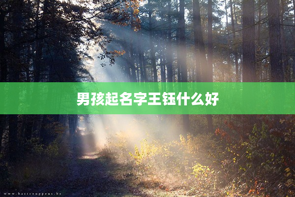 2男孩起名字王鈺什么好
