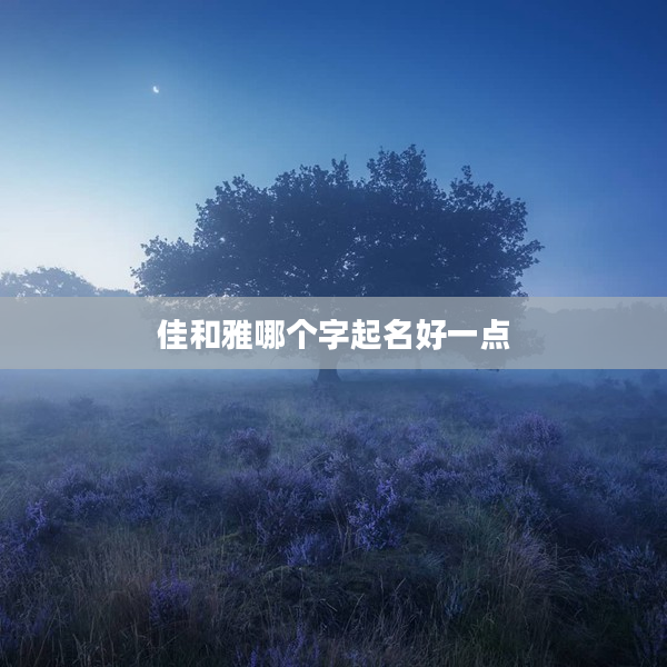 2佳和雅哪個字起名好一點