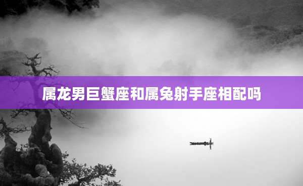 屬龍男巨蟹座和屬兔射手座相配嗎