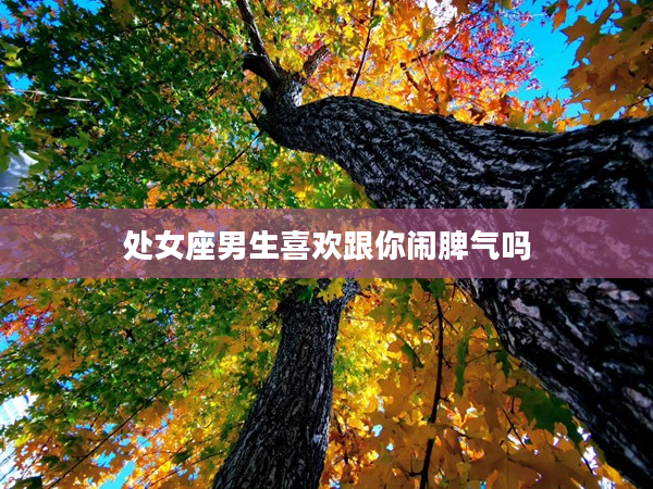 處女座男生喜歡跟你鬧脾氣嗎