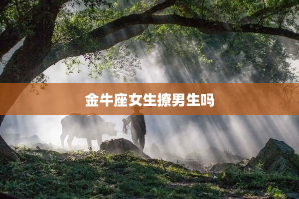 金牛座女生撩男生嗎