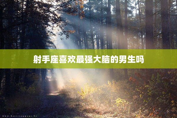 射手座喜歡最強大腦的男生嗎