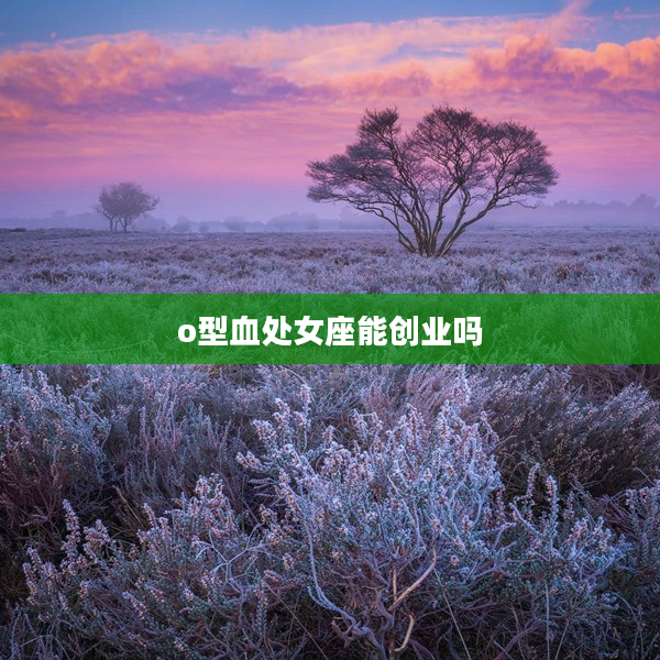 o型血處女座能創業嗎