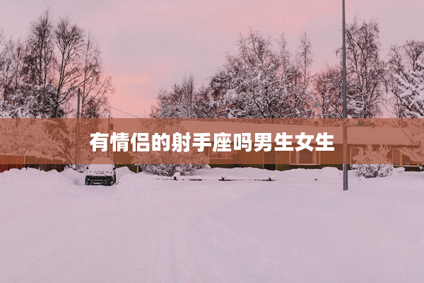 有情侶的射手座嗎男生女生