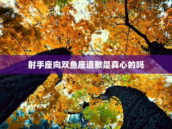 射手座向雙魚座道歉是真心的嗎