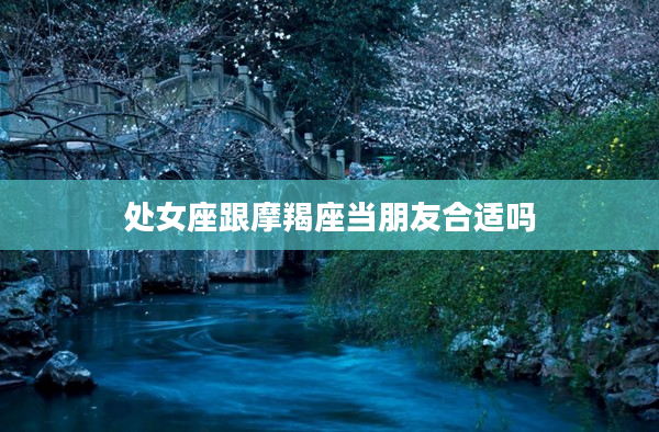 處女座跟摩羯座當朋友合適嗎