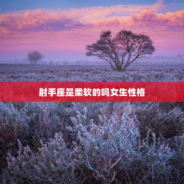 射手座是柔軟的嗎女生性格