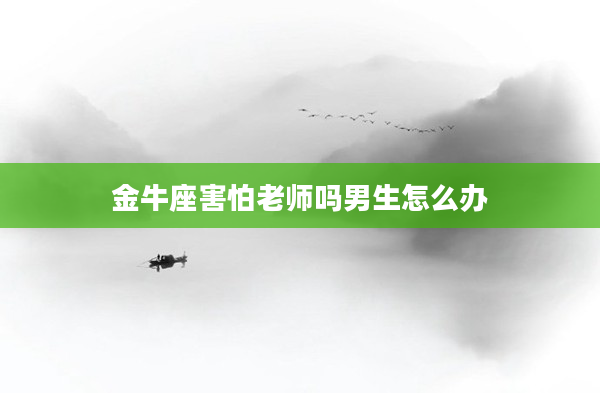 金牛座害怕老師嗎男生怎么辦