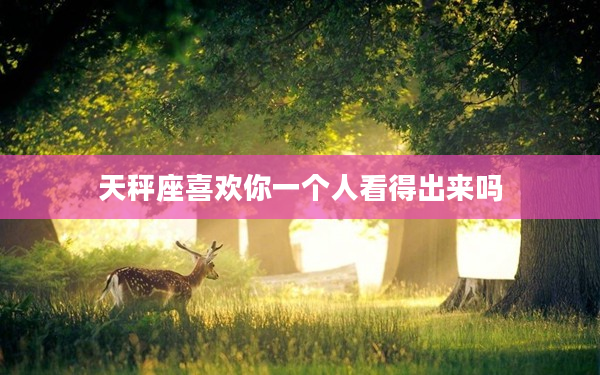 天秤座喜歡你一個人看得出來嗎