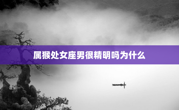 屬猴處女座男很精明嗎為什么