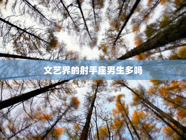 文藝界的射手座男生多嗎