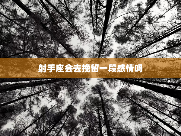 射手座會去挽留一段感情嗎