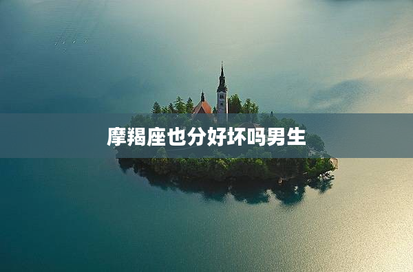 摩羯座也分好壞嗎男生