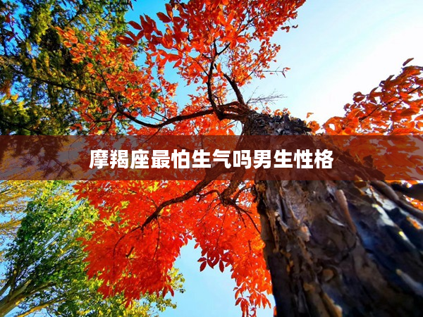 摩羯座最怕生氣嗎男生性格