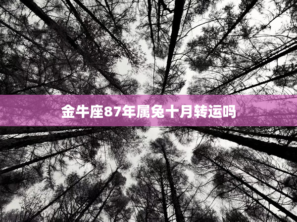 金牛座87年屬兔十月轉運嗎
