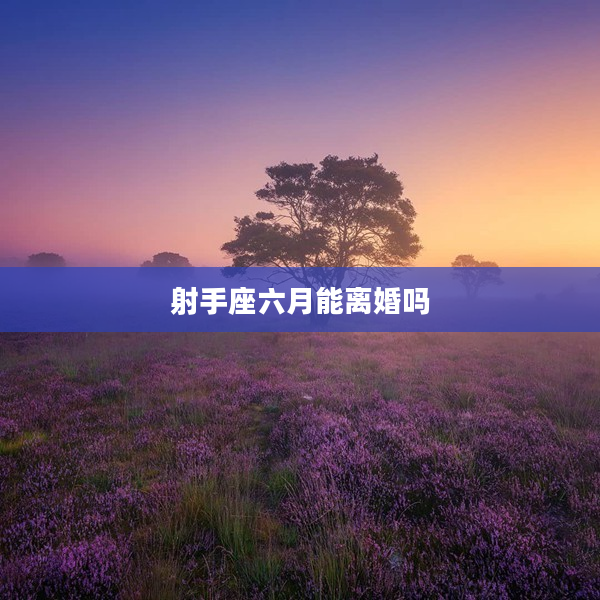 射手座六月能離婚嗎