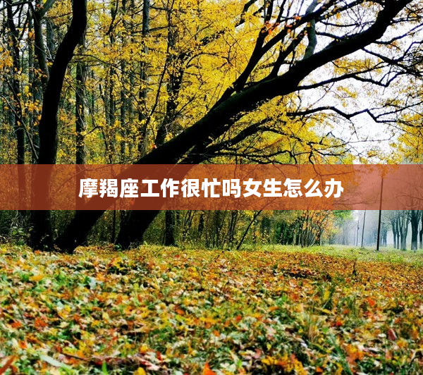 摩羯座工作很忙嗎女生怎么辦
