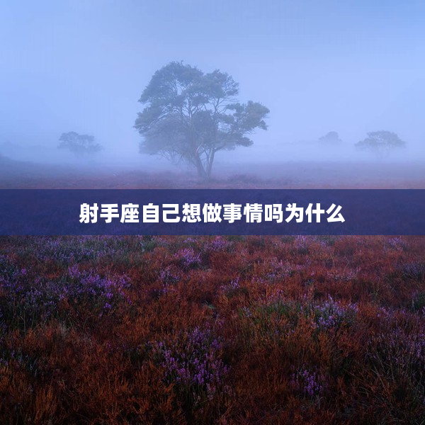 射手座自己想做事情嗎為什么