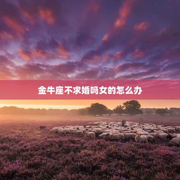 金牛座不求婚嗎女的怎么辦