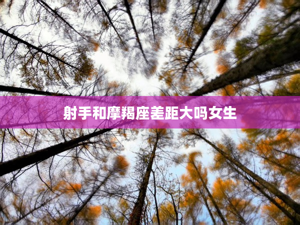 射手和摩羯座差距大嗎女生