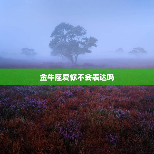 金牛座愛你不會表達嗎