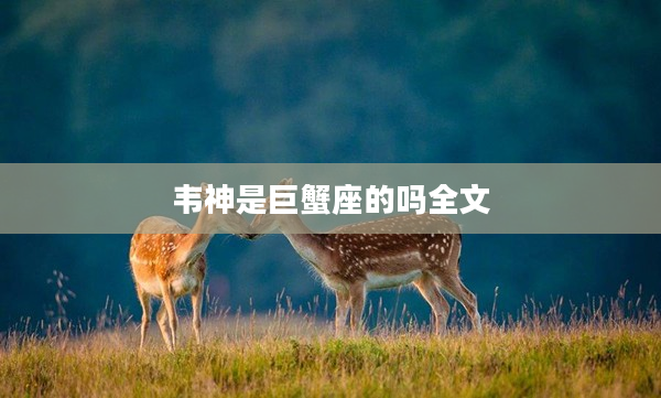 韋神是巨蟹座的嗎全文