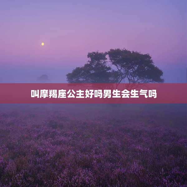 叫摩羯座公主好嗎男生會(huì)生氣嗎