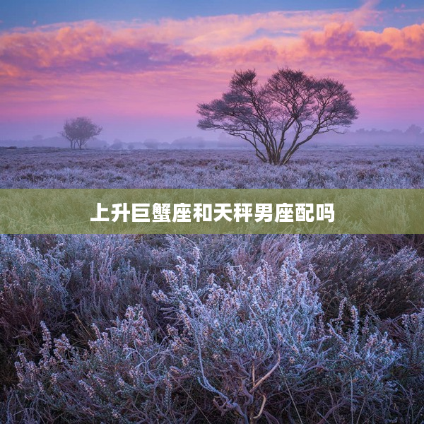 上升巨蟹座和天秤男座配嗎