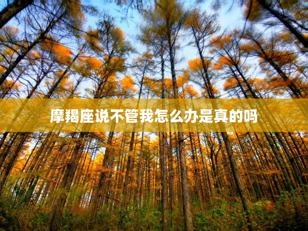 摩羯座說不管我怎么辦是真的嗎