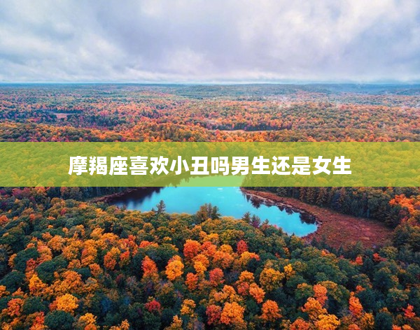 摩羯座喜歡小丑嗎男生還是女生