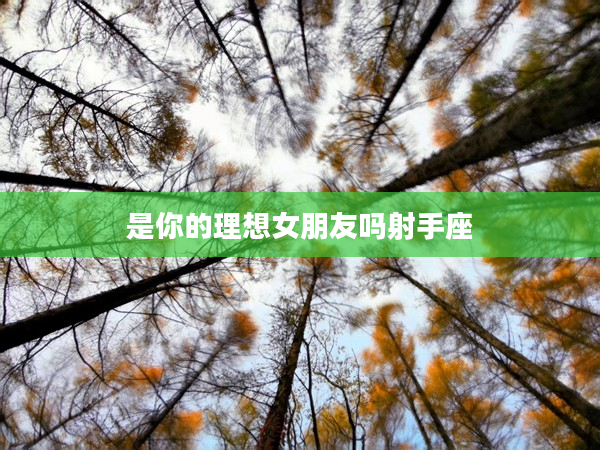 是你的理想女朋友嗎射手座