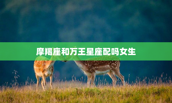摩羯座和萬王星座配嗎女生
