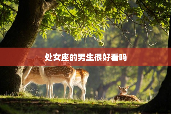 處女座的男生很好看嗎