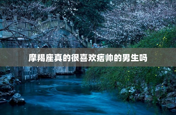 摩羯座真的很喜歡痞帥的男生嗎