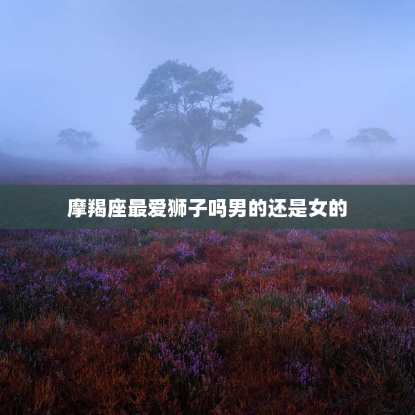 摩羯座最愛獅子嗎男的還是女的