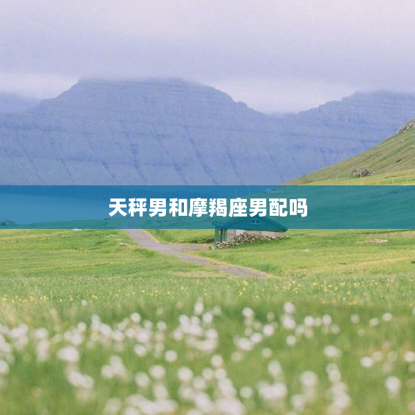 天秤男和摩羯座男配嗎