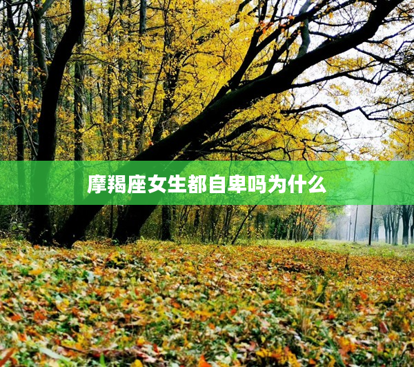 摩羯座女生都自卑嗎為什么