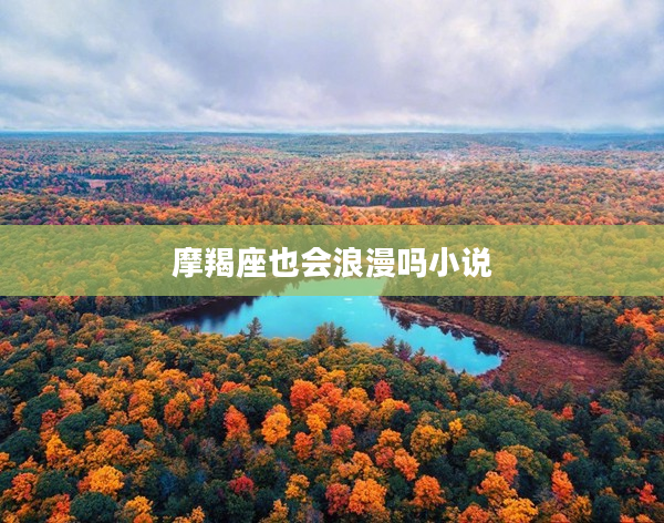 摩羯座也會浪漫嗎小說