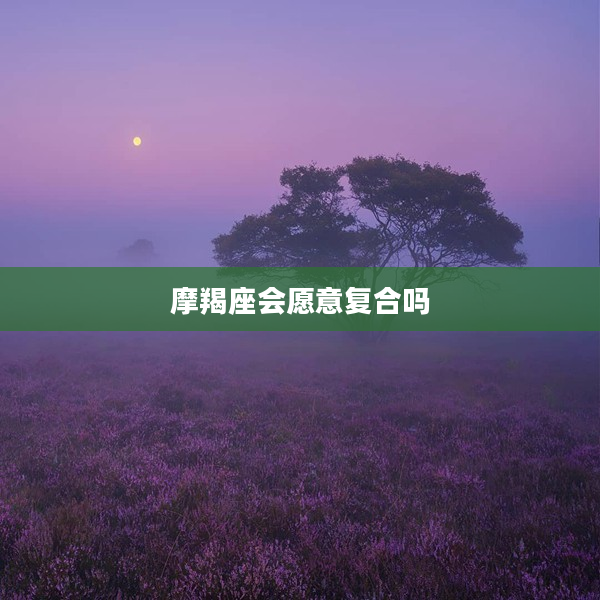 摩羯座會愿意復合嗎