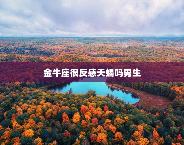 金牛座很反感天蝎嗎男生