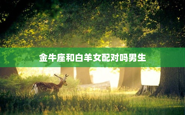 金牛座和白羊女配對嗎男生