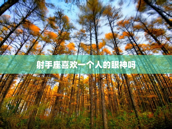 射手座喜歡一個人的眼神嗎