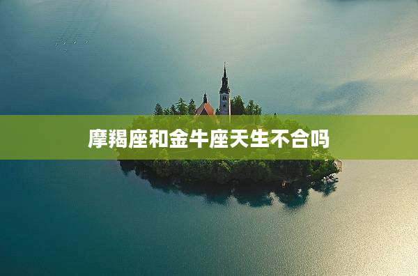摩羯座和金牛座天生不合嗎